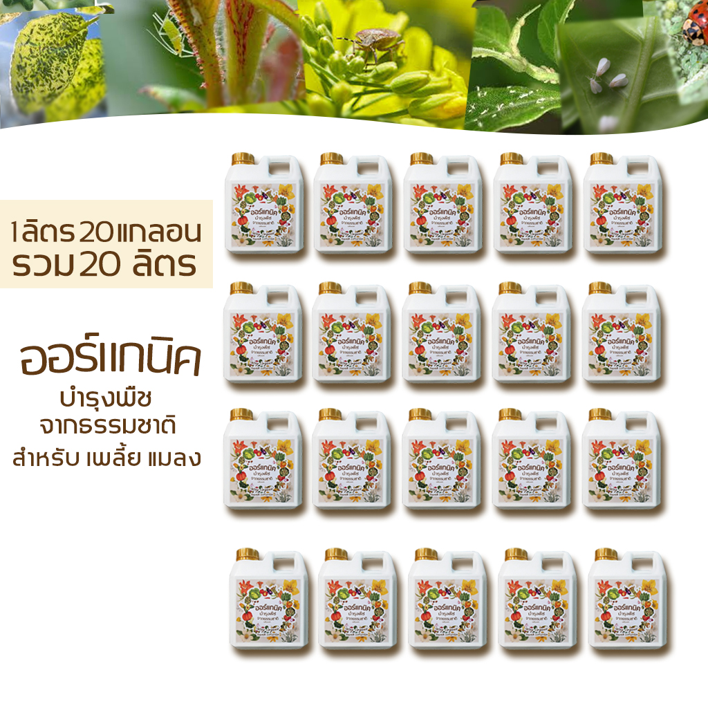 Organic Herbs Insay Organic Fermented Liquid for Mites and Various Insects (1 Liter, 20 Gallon Set) ราคา 2,900 บาท*ส่งฟรี