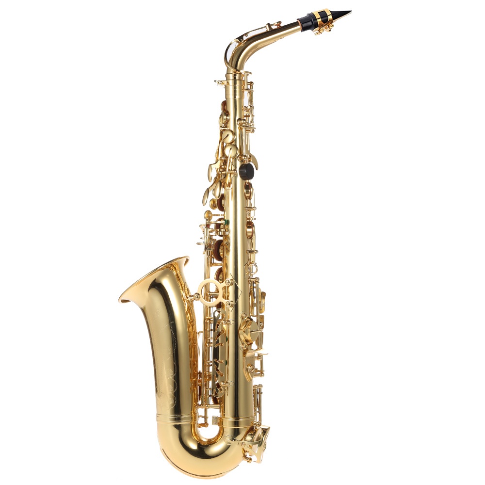 50841円 【福袋セール】 Zengxue Saxophone Eb E-flat Alto Nickel-Plated Brass Body With Engraving Keys Woodwind Instrument Case サックスビギナーズキット