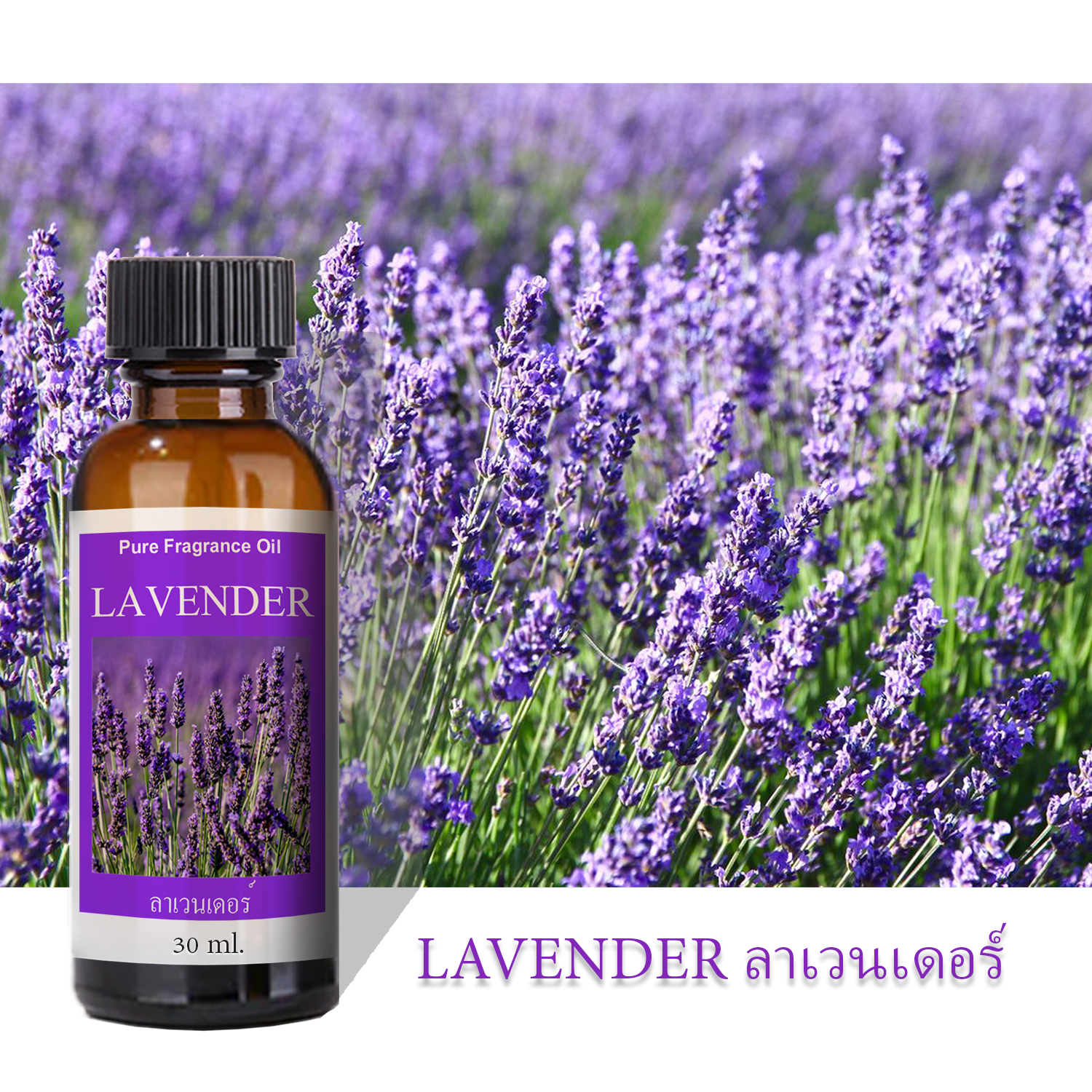 น้ำหอมเครื่องพ่นไอน้ำ ลาเวนเดอร์ Lavender 30 ml น้ำมันหอมระเหย พร้อมส่งทุกกลิ่น น้ำหอมกลิ่นโรงแรมหรู สำหรับเตาอโรม่า เครื่องพ่นไอน้ำ