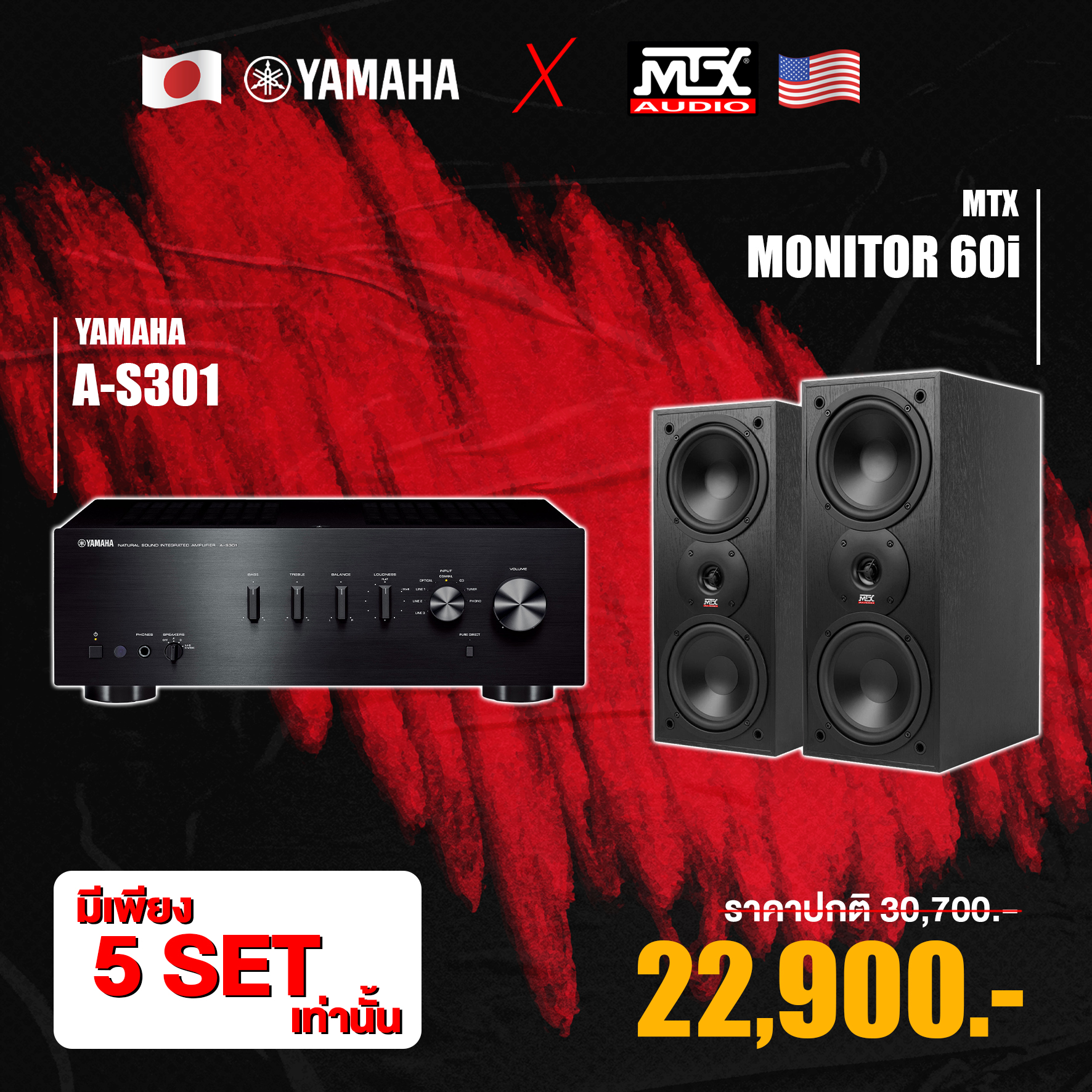 Mtx store monitor 60i