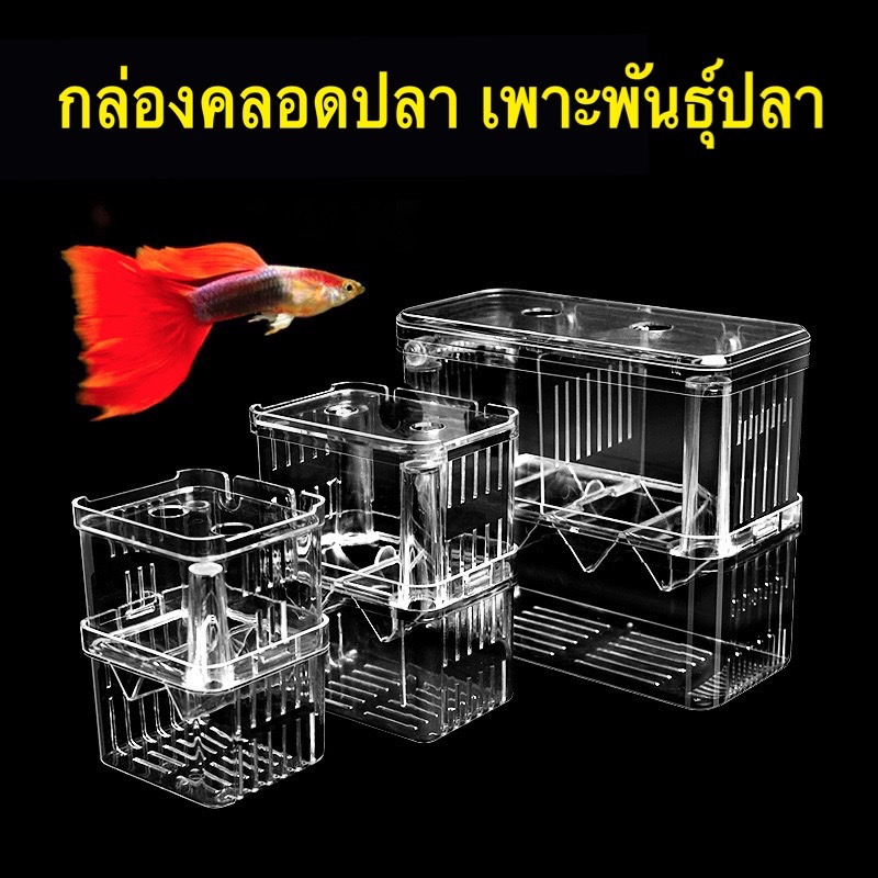 Fish Breeding Box, Fish Breeding, Fish Separation ราคา 139 บาท*ส่งฟรี