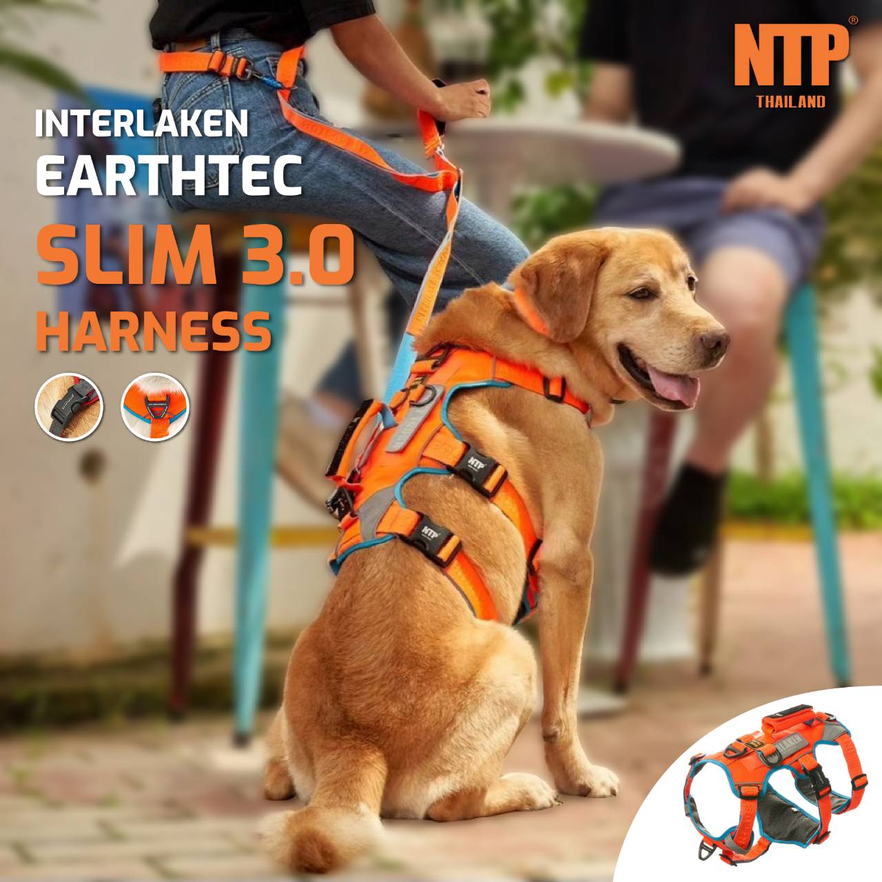 NTP - สายรัดอกสุนัข Interlaken Earthtec slim 3.0 ราคา 2,138 บาท*ส่งฟรี