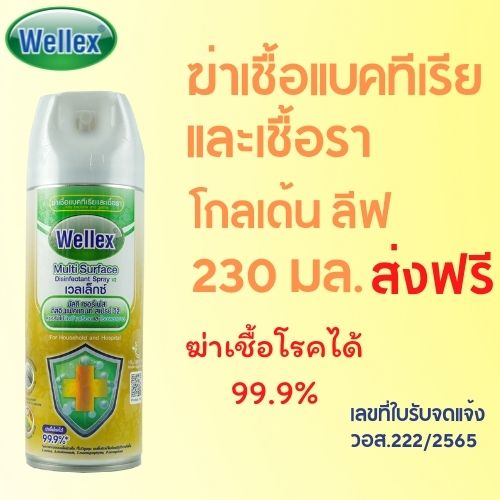 WELLEX เวลเล็กซ์ มัลติ เซอร์เฟส ดิสอินเฟคแทนท์ สเปรย์ วี2 ฆ่าเชื้อแบคทีเรียและเชื้อรา โกเด้น ลีฟ 230มล. ราคา 126 บาท*ส่งฟรี