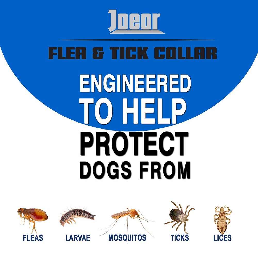 มุมมองเพิ่มเติมเกี่ยวกับ ปลอกคอกำจัดเห็บหมัด กันน้ำ ป้องกัน 8 เดือน Flea and Tick Collar