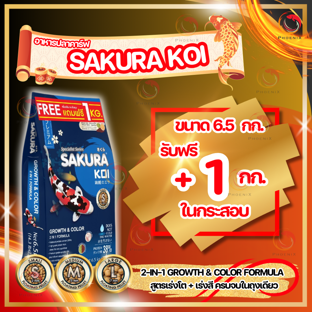 🔰 โปร +1กก.ในถุง หรือ 🆓แถมถุงเล็ก ❗ Sakura Koi อาหารปลาคาร์ฟ สูตร 2in1 เร่งโต+เร่งสี ขนาดถุง 6.5 kg. ราคา 1,040 บาท*ส่งฟรี