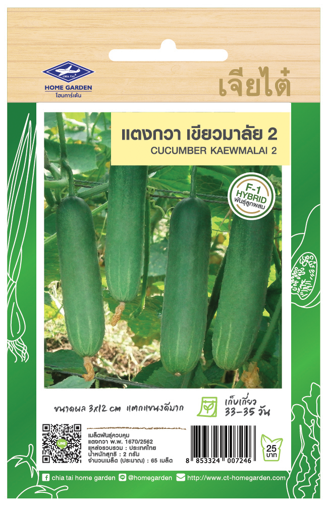 CHIATAI 🇹🇭 ผักซอง เจียไต๋ แตงกวา เขียวมาลัย F031 ซองประมาณ 65 เมล็ด F1 เมล็ดพันธุ์ผัก แตงกวา แตงกวาเขียวมาลัย เมล็ดผัก เมล็ดพืช ผักสวนครัว