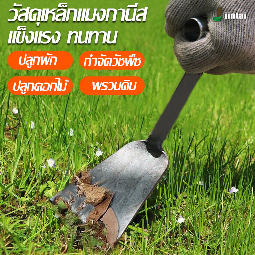 มีปลายทาง พลั่วแซะหญ้า แซะหญ้า ใช้งานได้หลากหลาย ทำความสะอาดง่าย พกพา สะดวก แข็งแรง ทนทาน ไม่สึกหรอง่าย สินค้าคุณภาพดี จัดส่งไว ราคา 59 บาท*ส่งฟรี