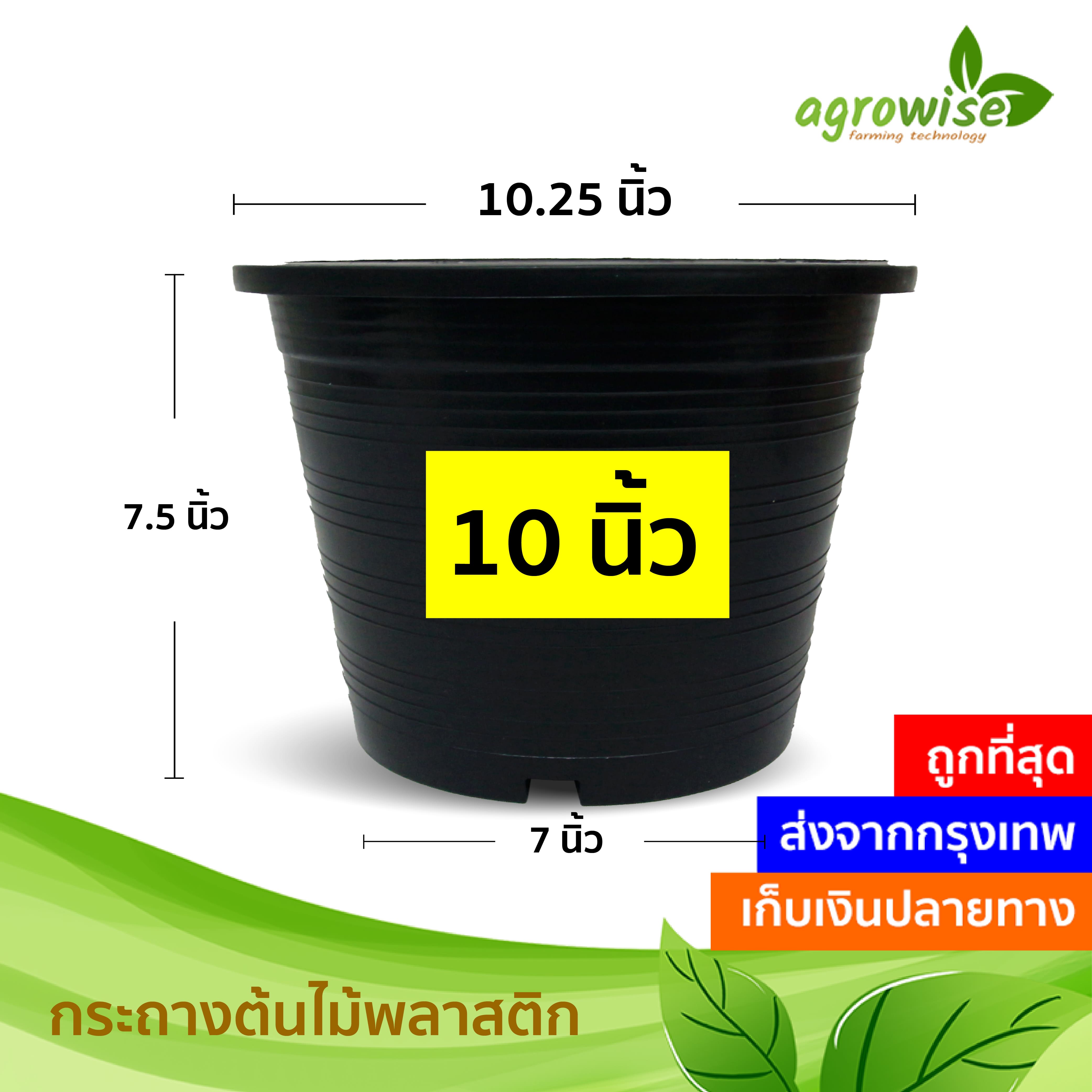 กระถาง กระถางต้นไม้พลาสติก กระถางปลูกต้นไม้ 10 นิ้ว กระถางดำ สีดำ