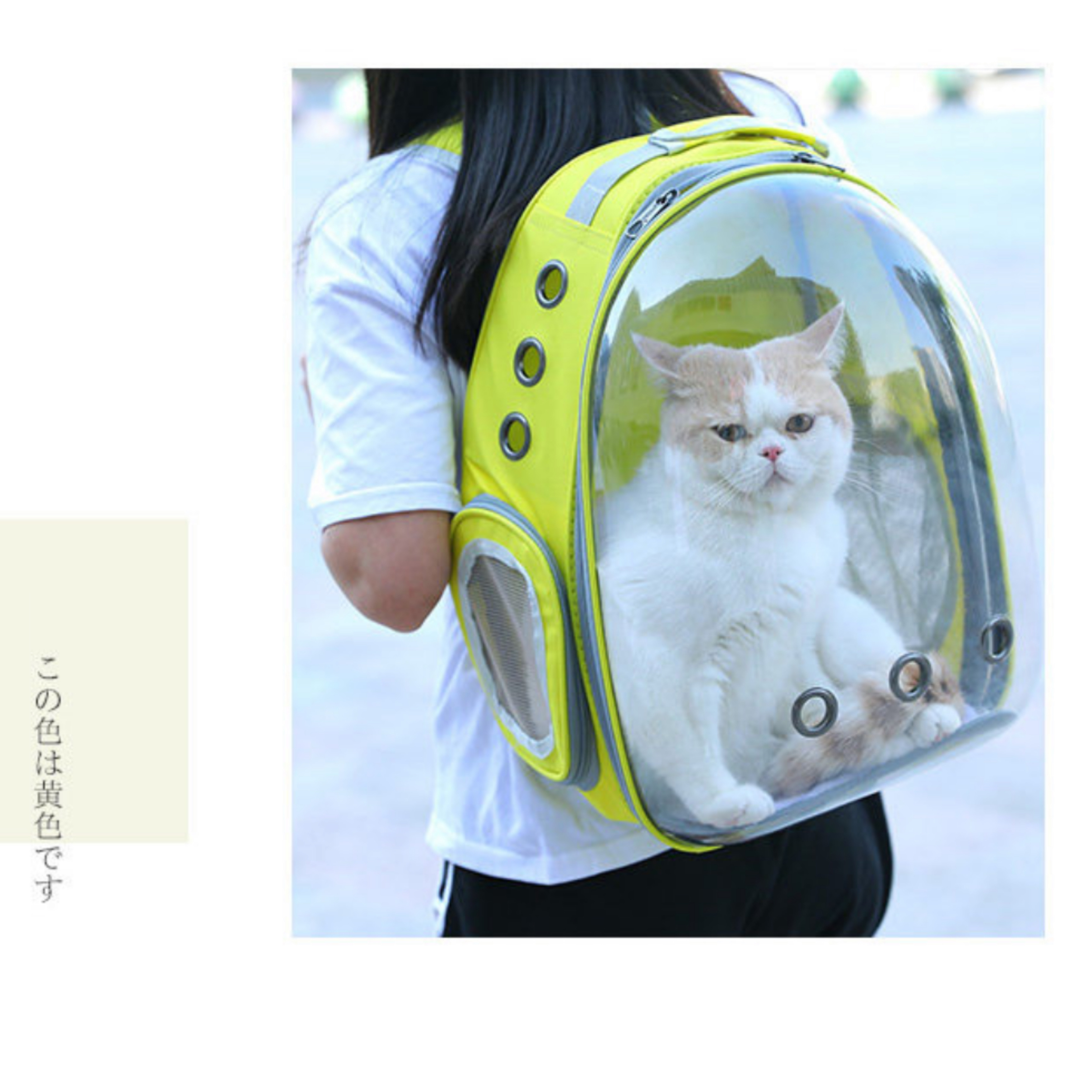 Hi Pet Pet Travel Bag อย่างดีกระเป๋าอวกาศสัตว์เลี้ยงสะพายหลัง ใส่แมว