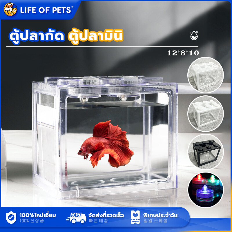 Aquarium Fish Tank ราคาถูก ซื้อออนไลน์ที่ - เม.ย. 2024