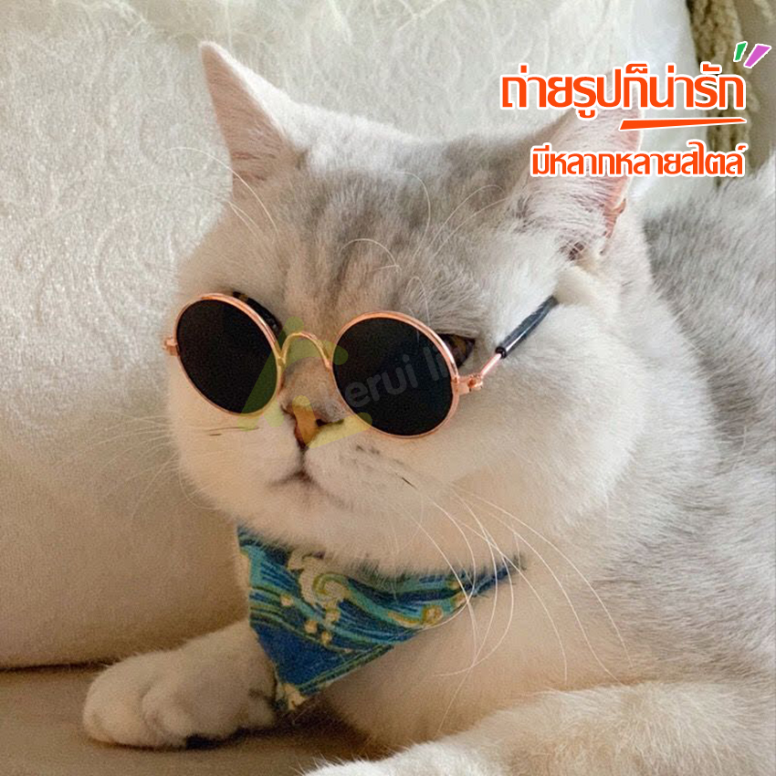 Pet glasses cat eye glasses dog glasses cat eye glasses dog glasses fashion pet glasses cat eye pet glasses cool ราคา 38 บาท*ส่งฟรี