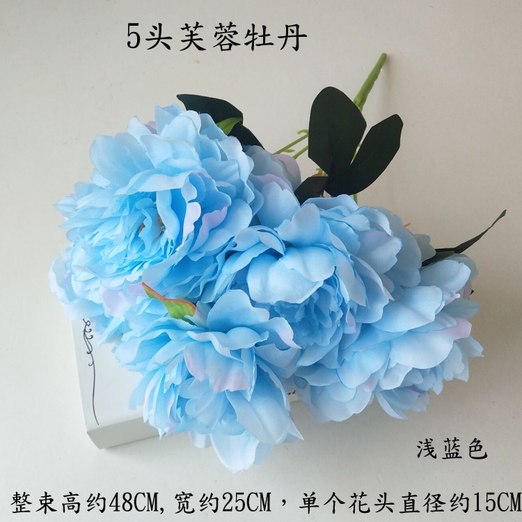 https://th-live-01.slatic.net/p/a68d84398f85c22ac14893d98c8c2ead.jpg
