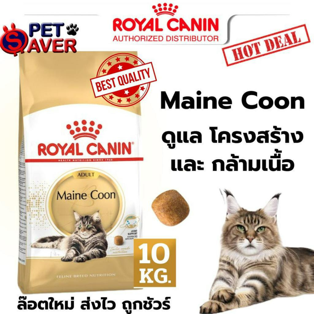 Royal Canin Mainecoon 10kg แมวสายพันธุ์ เมนคูน 10 kg อาหารแมว maine coon