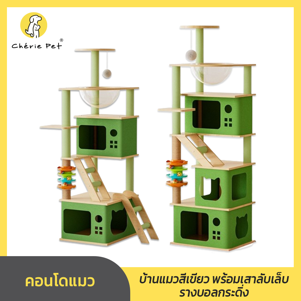Cherie Petシ คอนโดแมว บ้านแมว สีเขียว เสาลับเล็บ พร้อมที่นอน และของเล่นแมว สูง 137 - 153 CM ราคา 1,090 บาท*ส่งฟรี