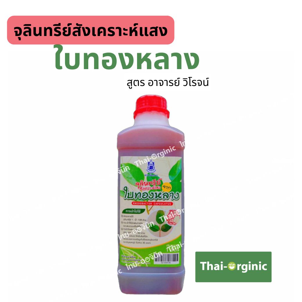 จุลินทรีย์สังเคราะห์แสง ใบทองหลาง หัวเชื้อโรโดแบคเตอร์แคปซูลาตัส สูตร อ.วิโรจน์(ของแท้) 1 ลิตร - ยี่ห้อ ปฐมอโศก ราคา 110 บาท*ส่งฟรี