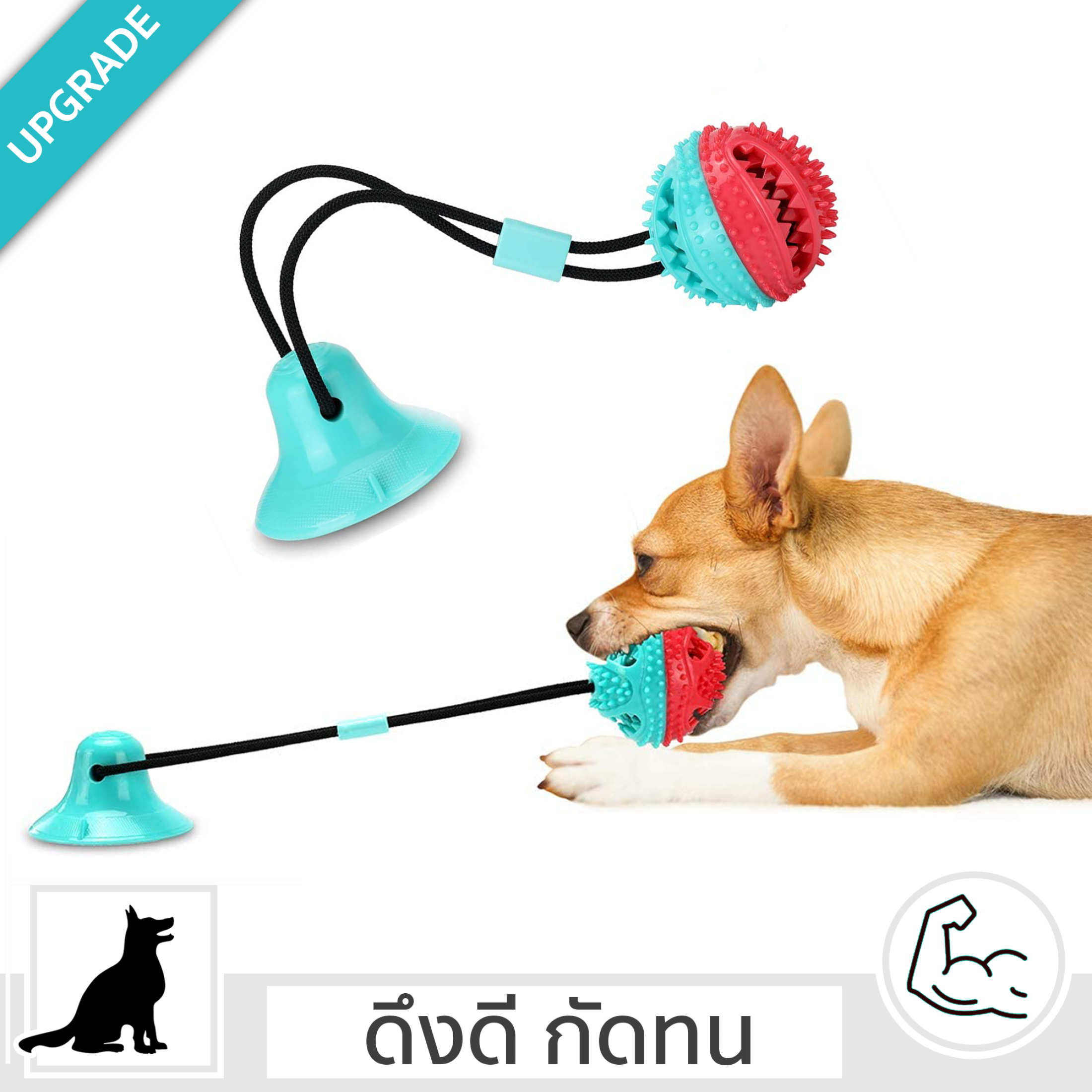 ของเล่นหมา ของเล่นสุนัข เชือกดึง ลูกบอลเชือกดึง ที่กัดฟันกรามสุนัข ของเล่นหมา ช่วยให้น้องออกกำลังกาย