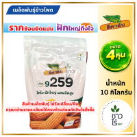 [ล็อตใหม่- ผลิต2569] เมล็ดพันธุ์ข้าวโพด ดีคาล์บ 9259c *ขนาด 4 หุน* เม็ดใหญ่ แข็งแรง ยืนแกร่งบนดินมีเนื้อจับตัว ฝักสม่ำเสมอ เก็บง่าย ฝักดีทั้งแปลง ฝักใหญ่ แถวสวย แปลงสะอาด เก็บเกี่ยวได้นาน 120 วัน