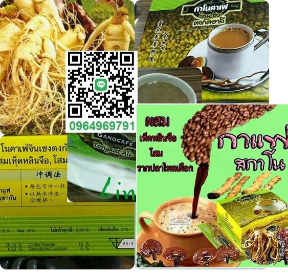 ชุดกาแฟกาโนผสมโสมรากปลาไหลเผือก พร้อมด้วยรากและดอกเห็ดหลินจือ กระปุกใหญ่(ราก 90 แคปซูล+ดอก 90 แคปซูล) ราคา 1,690 บาท*ส่งฟรี