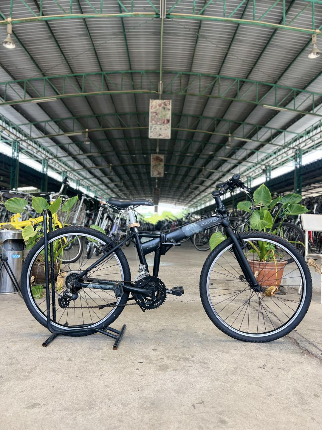 Dahon jack online d24