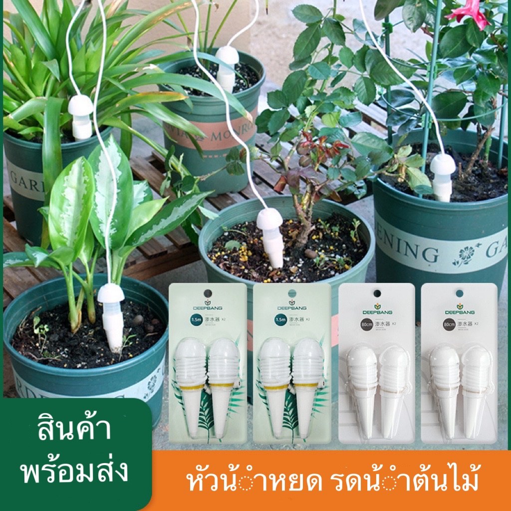 สำหรับคนขี้เกียจ คนมีธุรกิจ รดน้ำอัตโนมัติ อุปกรณ์รดน้ำอัตโนมัติ เติมน้ำทีเดียวใช้งานได้สามเดือน การรดน้ำอัตโนมัติ （watering）