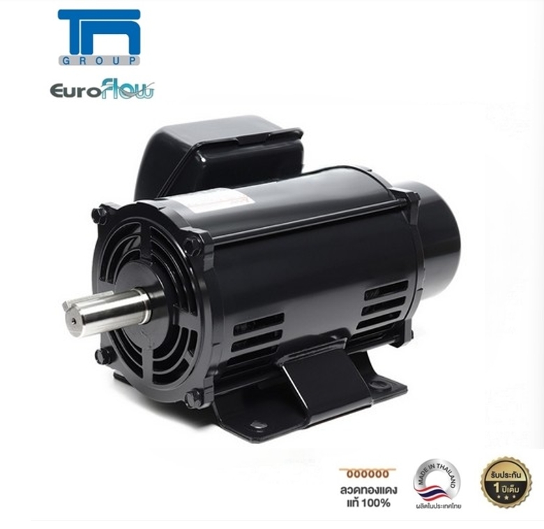 Euroflow Motor Model Sc-Rs 3 Hp (4P 220V.) G2 Shaft 28 mm (Suitable for Belt Pulling Work) ราคา 9,124 บาท*ส่งฟรี