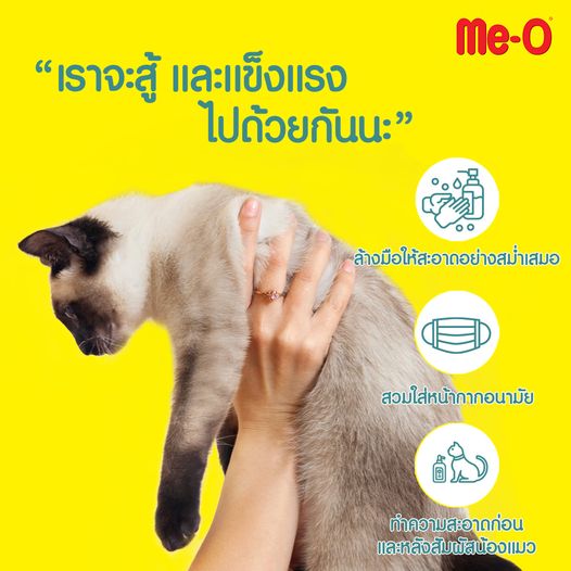 ภาพประกอบของ Me-O Cat Food 6.8 kg./อาหารแมวแบบเม็ด มีโอ อายุ 1 ปี ปลาแซลมอน  6.8 กิโลกรัม