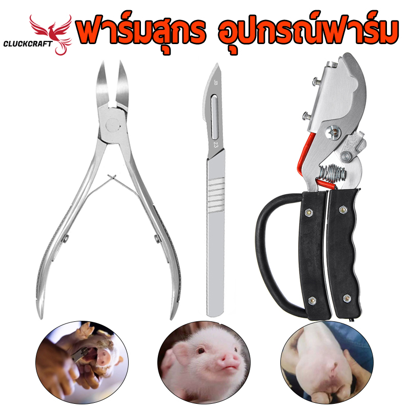 กรรไกรตัดหางหมู 220V คีมตัดหางลูกสุกรด้วยความร้อนไฟฟ้า เบอร์23มีดตัดแต่ง สแตนเลส กรรไกรตัดฟันหมู ชุด 3ชิ้น ฟาร์มสุกร อุปกรณ์ฟาร์ม ราคา 47 บาท*ส่งฟรี