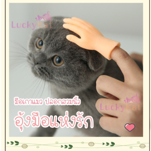 Luckykat อุ้งมือแห่งรัก ของแล่นแมว ที่เกาแมว แปรงขนแมว ของเล่นแมวน่ารัก ปลอกคอแมว ชุดสัตว์เลี้ยง