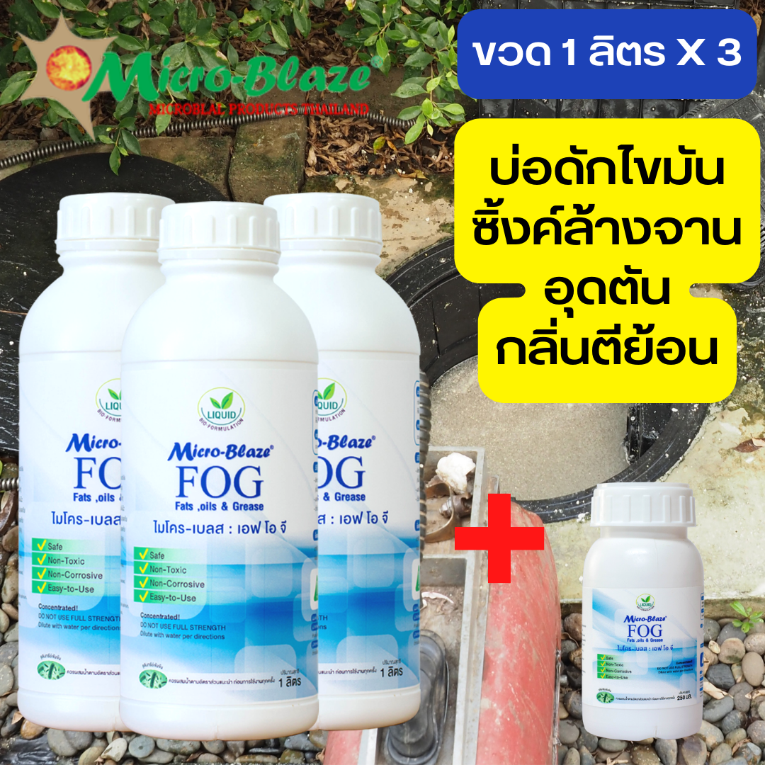 Micro-Blaze FOG1000X3 ราคา 4,500 บาท*ส่งฟรี