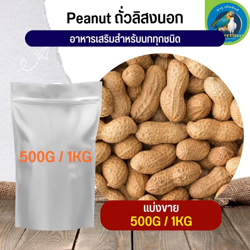สุดยอด ถั่วลิสงนอก PeaNut อาหารนก กระต่าย หนู กระต่าย กระรอก ชูก้า และสัตว์ฟันแทะ (แบ่งขาย 500G / 1KG) ราคา 89 บาท*ส่งฟรี