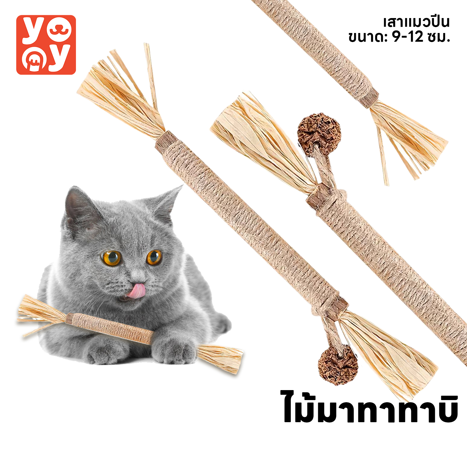 yoyopet : ไม้มาทาทาบิ ขัดฟันแมว ไม้เเมวเมา แบบเชือก ไม้ขัดฟันแมว ของเล่นแมว ลดคราบหินปูน สําหรับสัตว์เลี้ยง เสาแมวปีน ราคา 21 บาท*ส่งฟรี