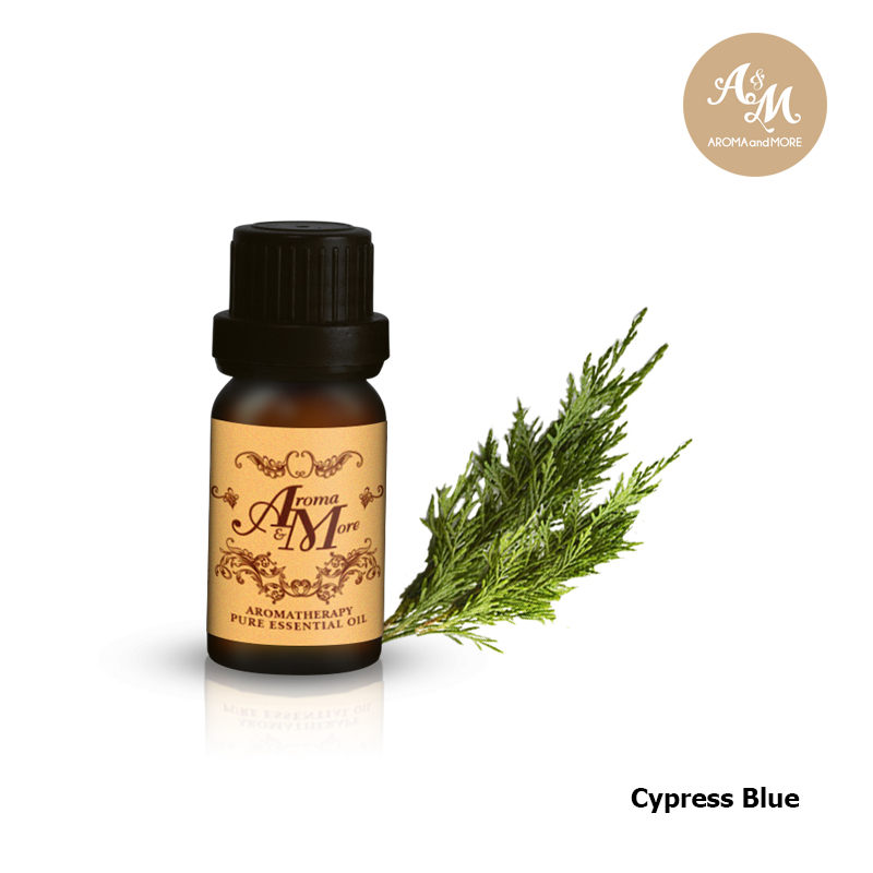 ผลิตภัณฑ์ความงามและการดูแลผิว Aroma & More น้ำมันหอมระเหย Aroma&More Cypress Blue ออสเตรเลีย 100% - กรีนเอเวอร์กรีนและเผ็ดเล็กน้อย/วู้ดดี้ -5/10/30/100ML