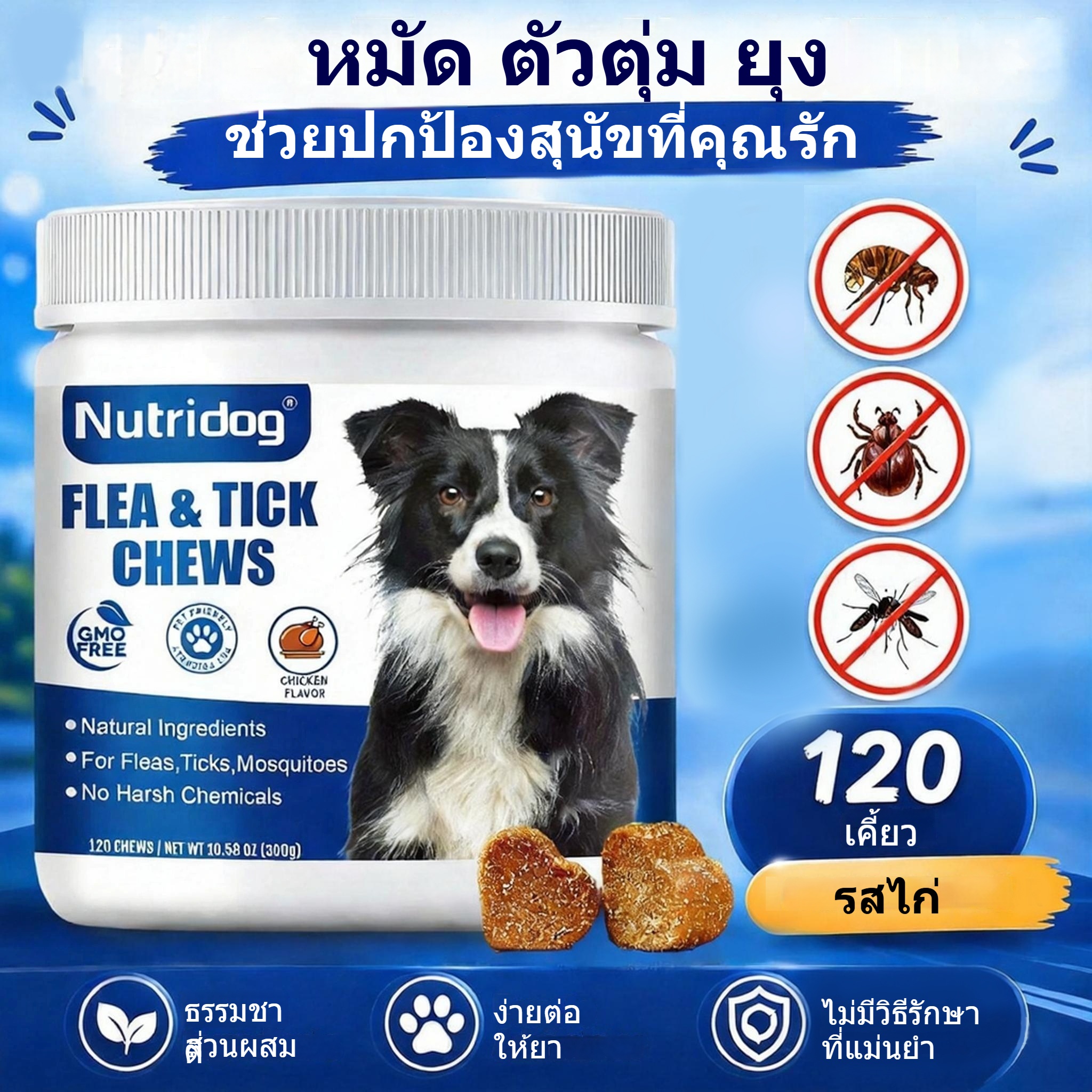 Dog Food to Prevent Fleas, Beer Yeast + Garlic Powder, Prevents and Repels Fleas and Lice. ราคา 267 บาท*ส่งฟรี