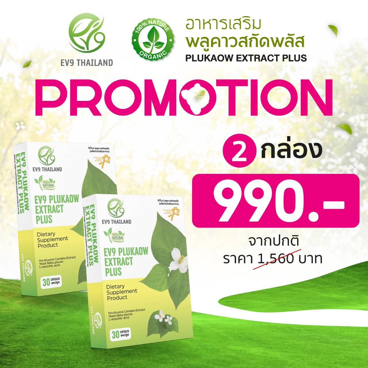 EV9 พลูคาวสกัดพลัส ผลิตภัณฑ์เสริมอาหาร EV9 Plukaow Extract Plus ผลิตภัณฑ์สมุนไพรคุณภาพ ออแกนิค ราคา 950 บาท*ส่งฟรี