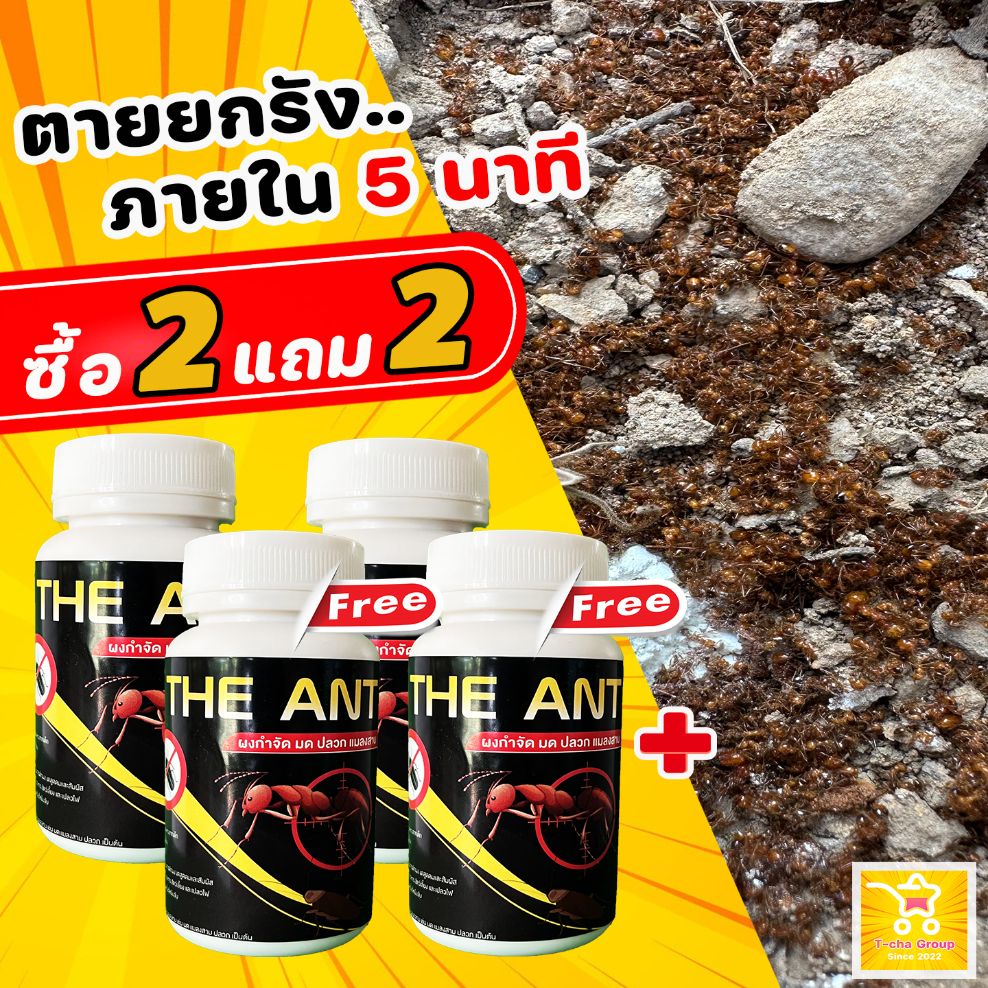 (โปร 2 แถม 2) ได้ 4 กระปุก The Ant ผงกำจัด มด ปลวก แมลงสาบ สูตรตายยกรัง ภายใน 5 นาที
