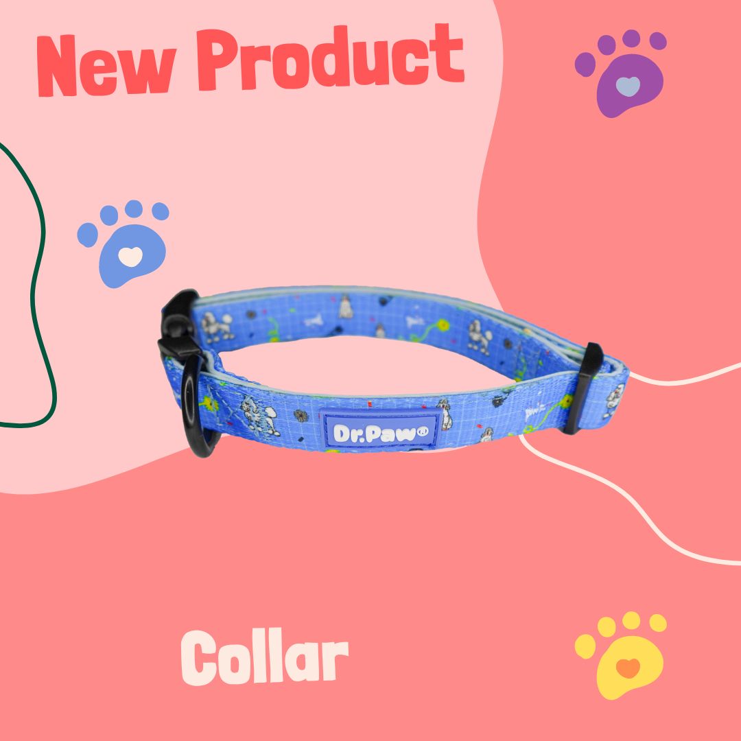 Dr.Paw Collar New Collention ปลอกคอสำหรับสุนัขและแมว ราคา 165 บาท*ส่งฟรี