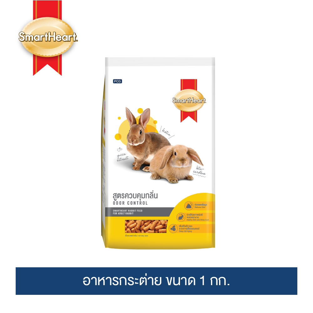 MomsExplorer video onlayn