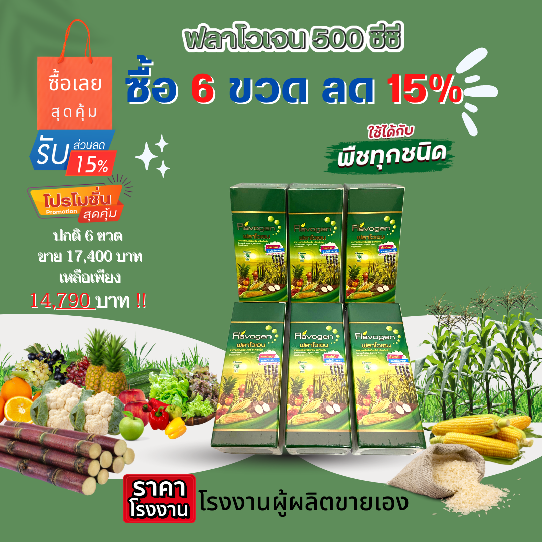 ฟลาโวเจน อาหารเสริมพืชอินทรีย์ขนาด 500 ซีซี 6ขวด ยกเซตสุดคุ้มลด15% ราคา 14,790 บาท*ส่งฟรี