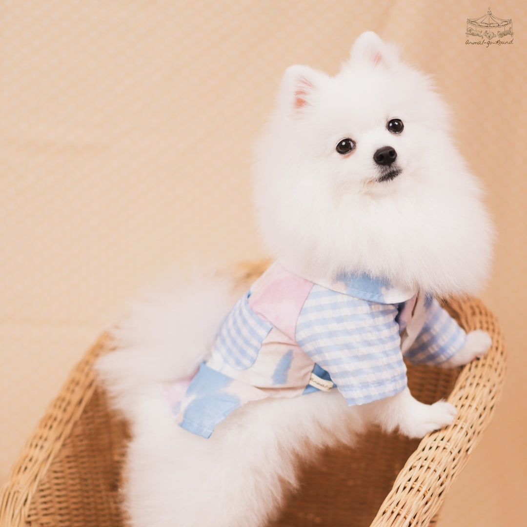 Animal-Go-Round เสื้อผ้าเครื่องแต่งกาย สัตว์เลี้ยง, หมา, แมว, สุนัข รุ่น Summer Breeze Boy ราคา 590 บาท*ส่งฟรี