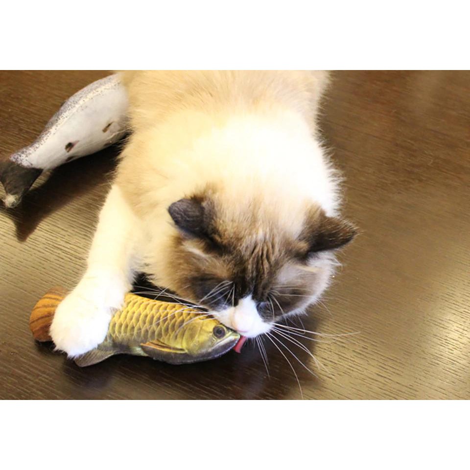 ภาพประกอบคำอธิบาย Maddie ของเล่น แมว หญ้าชนิดหนึ่งแมวของเล่นปลาจำลองแมววังฟาร์ม Mli แซวแมวติดด้วยตนเองเฮ้ต่อต้านสิ่งประดิษฐ์ที่น่าเบื่อ LI0156