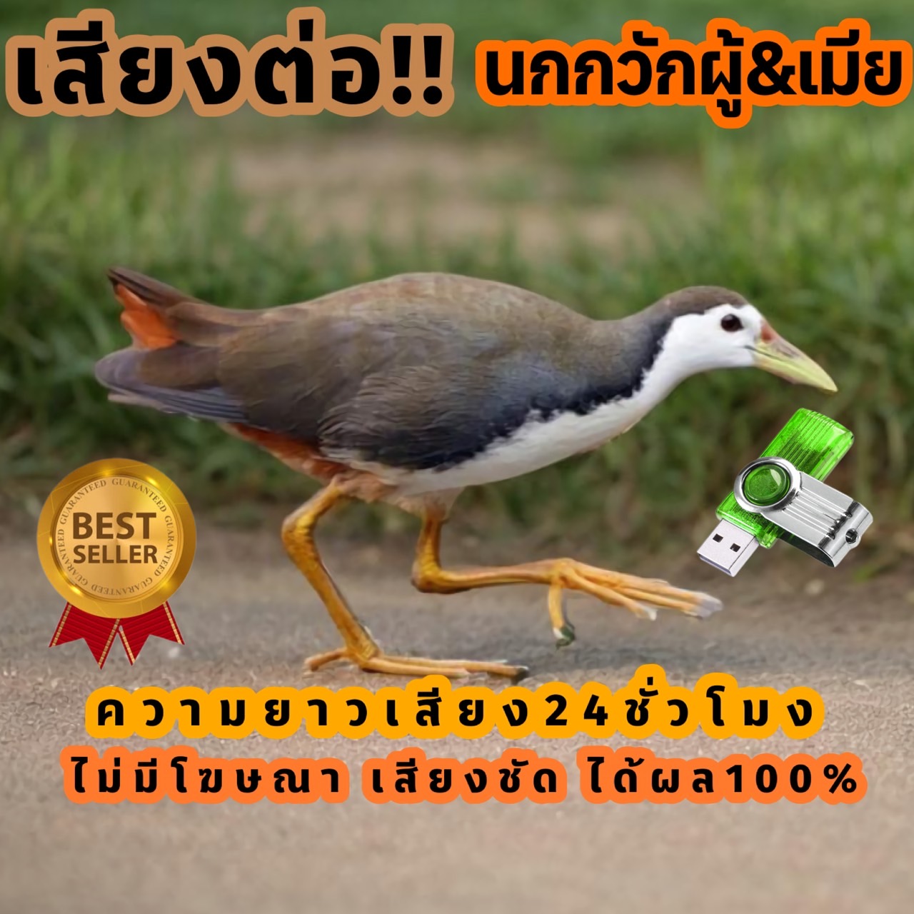 Male and Female Cuckoo Bird Sounds Cuckoo Sound, Chicken Sound, Fast Connection, USB Flash Drive with Cuckoo Sound. No Advertisements Inserted ราคา 135 บาท*ส่งฟรี