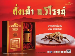 ภาพหน้าปกสินค้าCordy Plus ใหม่!! แท้ 100% คอร์ดี้ พลัส 1 กล่อง [30 แคปซูล] ถั่งเช่า อ.วิโรจน์ ราคาพิเศษ!! ที่เกี่ยวข้อง