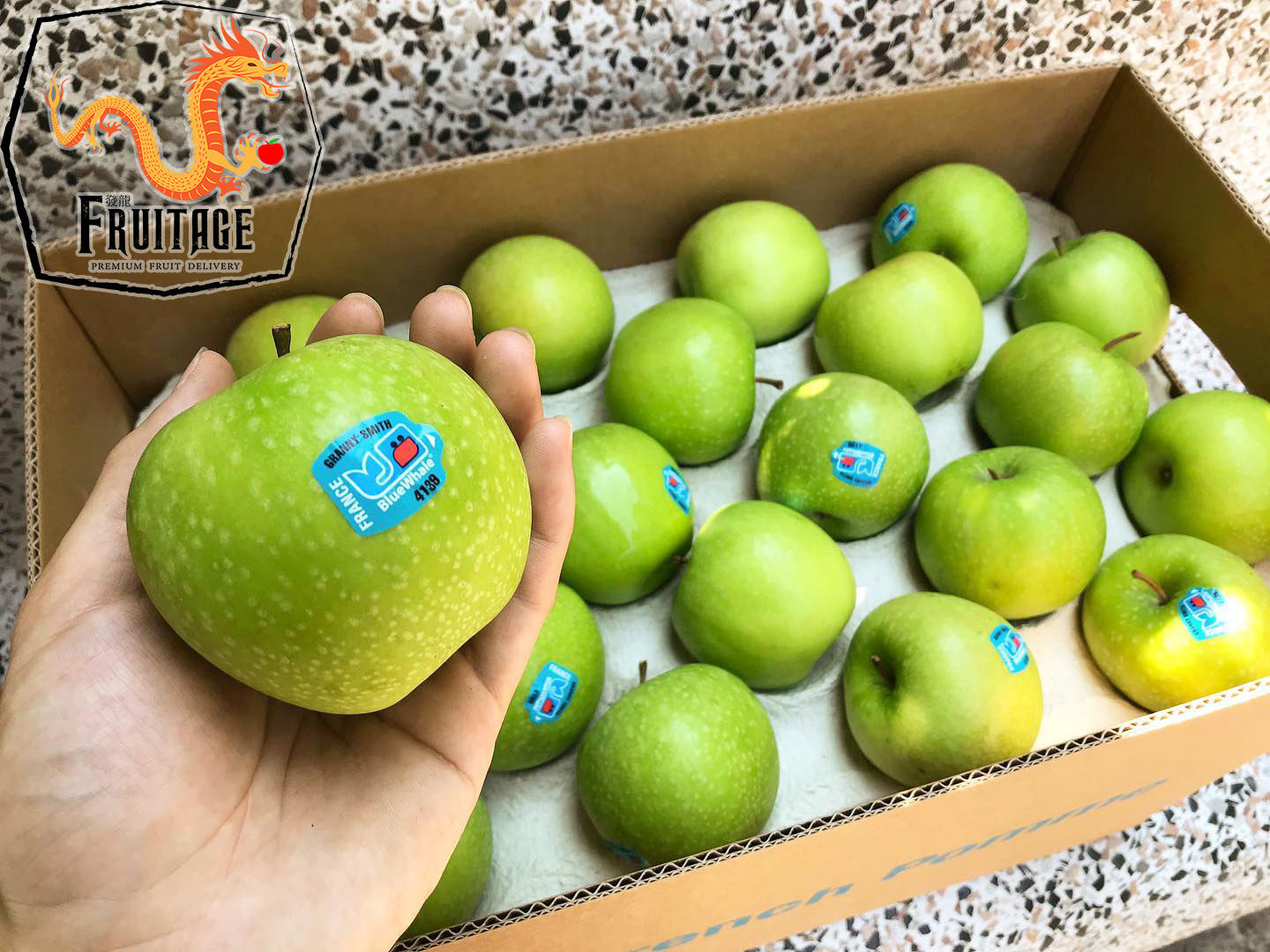 แอปเปิ้ลเขียว (1ลูก) ( FRANCE / USA / NZL ) ~ลดพิเศษ~ Green Apple กรอบ อร่อย ! (ผลไม้ต่างประเทศ ผลไม้พรีเมี่ยม ผลไม้สด ผลไม้เดลิเวอรี่ Fruitage Premium Fruit Delivery) ราคา 29 บาท*ส่งฟรี
