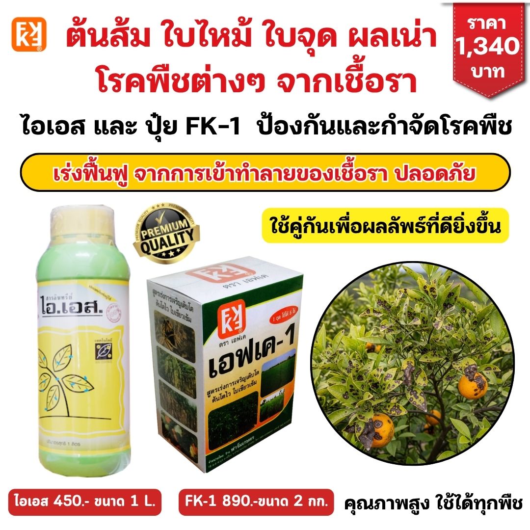 Citrus trees, leaves, burns, leaf spots, rot, plant diseases, from fungus, use s + fertilizer, FK-1, formula, accelerate, restore plants, safe, all plants can be used. ราคา 450 บาท*ส่งฟรี