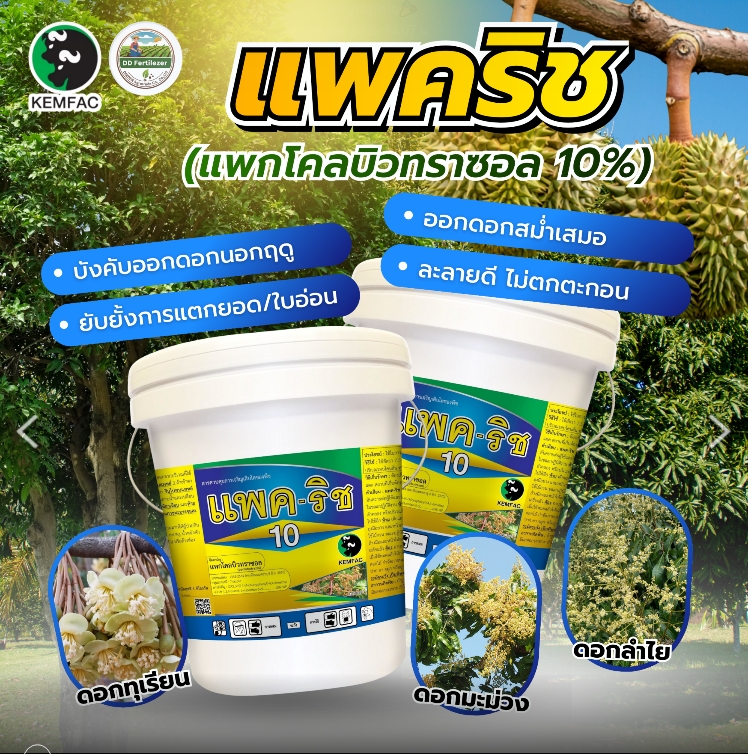 Pakrich 10% # Pack of Cobaltrazal 10% Forces Flowering Outside the Season, Stops Growing, Stops Cracking Young Leaves (10kg Bucket) Pack of Cobaltrazal # Double Krang King Brand ราคา 1,050 บาท*ส่งฟรี