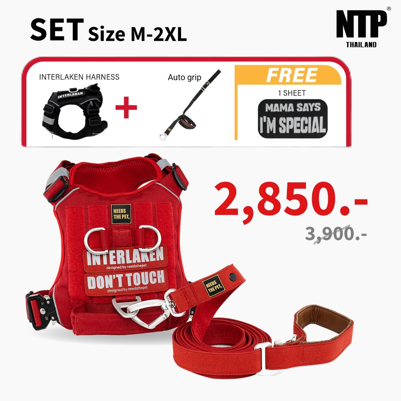 Ntp - Set Interlaken Harness and Single Autolock Leash ราคา 2,750 บาท*ส่งฟรี