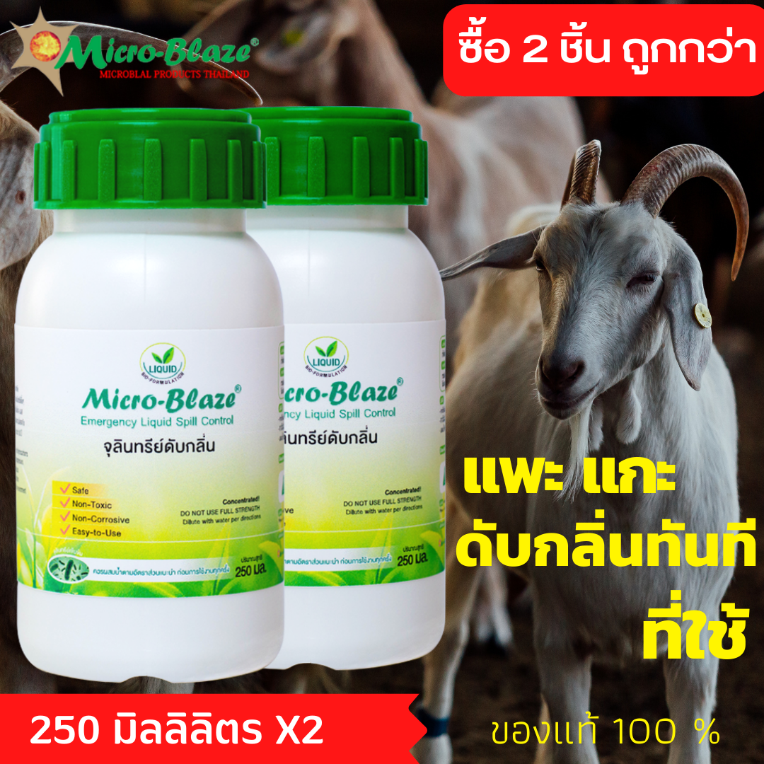 Micro-Blaze ELSC 250 มล.แพ็ค2 หัวเชื้อจุลินทรีย์เข้มข้นจากอเมริกาแท้100% กลิ่นหอม กำจัดกลิ่นเหม็น และลดแมลงวัน ราคา 1,000 บาท*ส่งฟรี