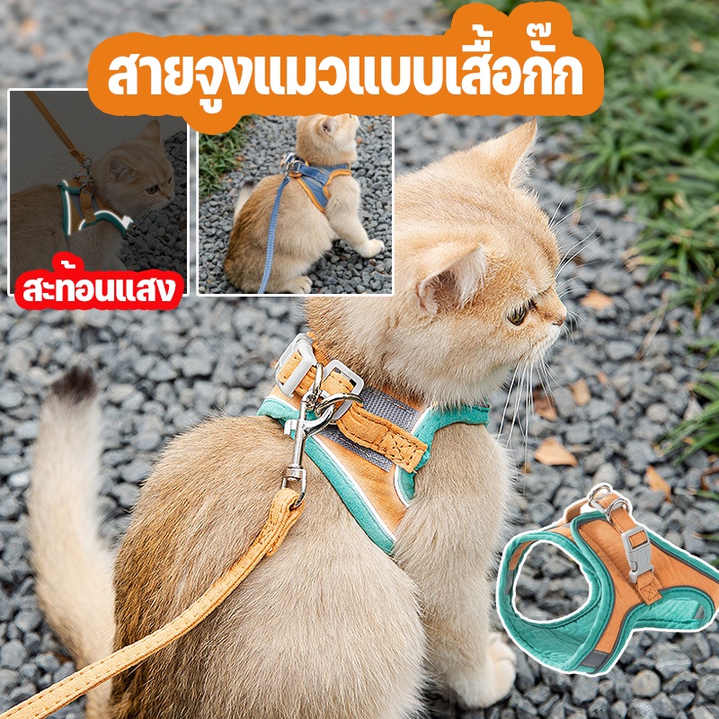 BHQ PET สายจูงสัตว์เลี้ยง Colorful Reflective สายจูงแมว ปลอกคอแมว
