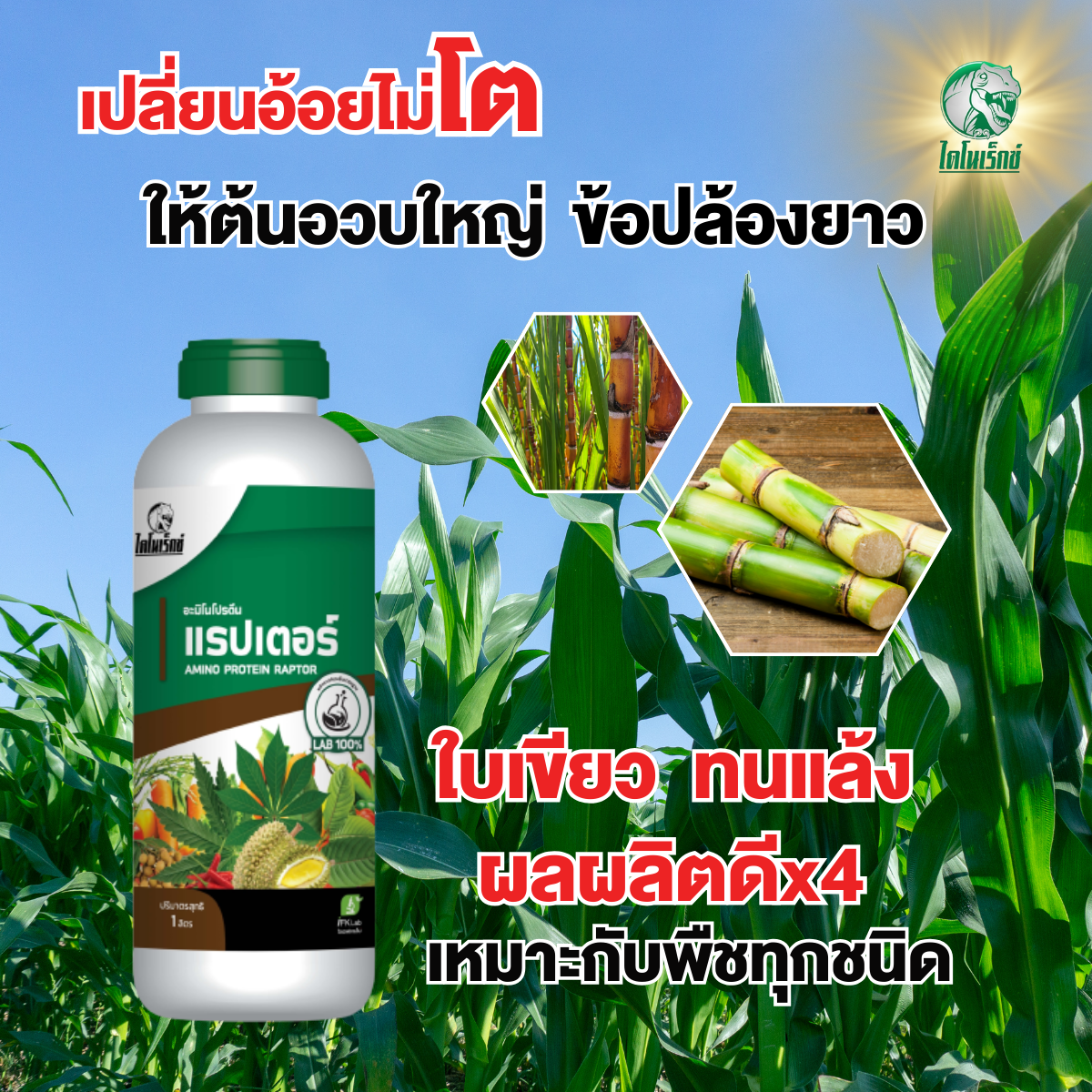 อะมิโนโปรตีนพืช 18 ชนิด บำรุงต้น ให้ใบเขียว ต้นอวบใหญ่ ปล้องยาว สำหรับอ้อย และพืชทุกชนิด ปลอดภัยต่อคนใช้ ไม่มีสารตกค้าง 1 ขวด ใช้ได้ถึง 20 ไร่ ต้องลอง! ราคา 360 บาท*ส่งฟรี