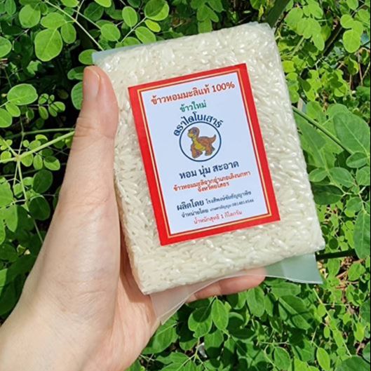 !!อร่อยมาก!! ข้าวขาวหอมมะลิ (100%) ข้าวสารใหม่ต้นฤดู ตรา ไดโนเสาร์ ขนาด 250 กรัม ขนาดทดลอง ตักบาตรเทโว ข้าวใส่บาตร ทำบุญ ออกพรรษา ของชำร่วย ราคา 20 บาท*ส่งฟรี